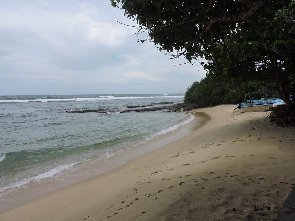 Paradise Beach Resort & Diving School Mirissa Bagian luar foto