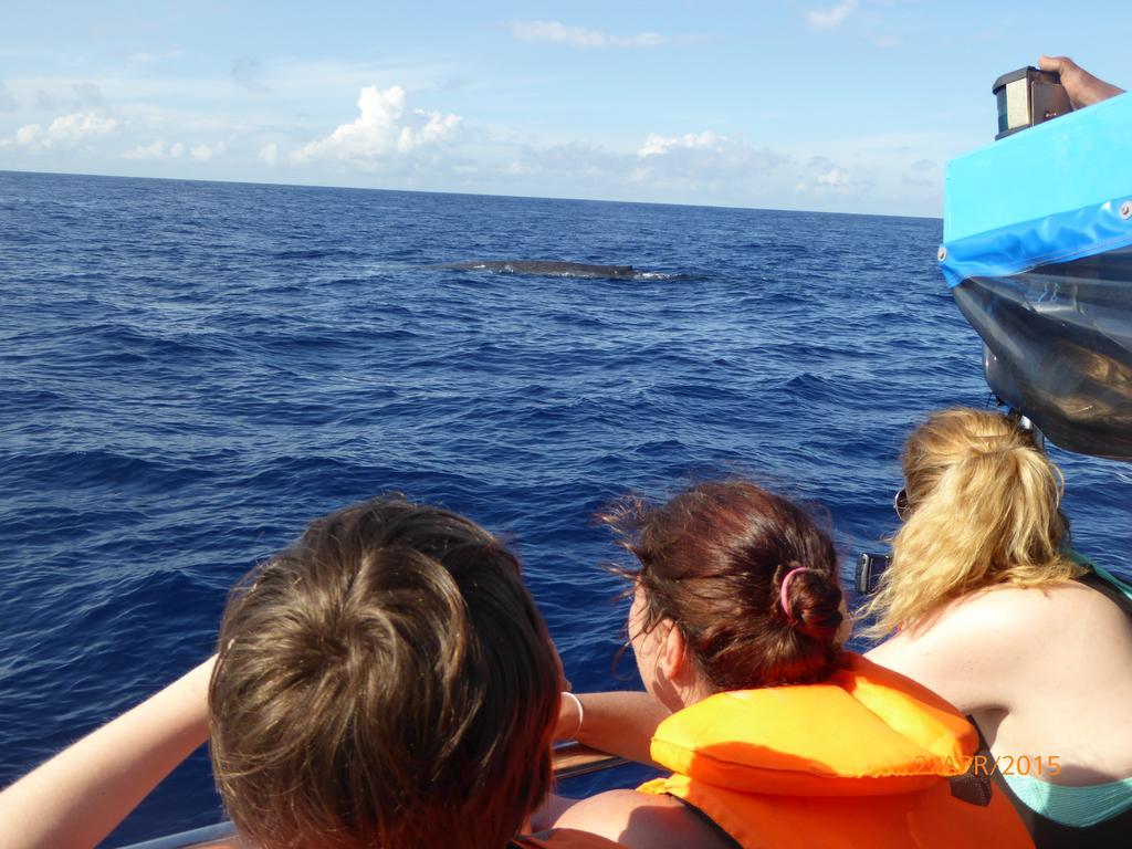 Paradise Beach Resort & Diving School Mirissa Bagian luar foto